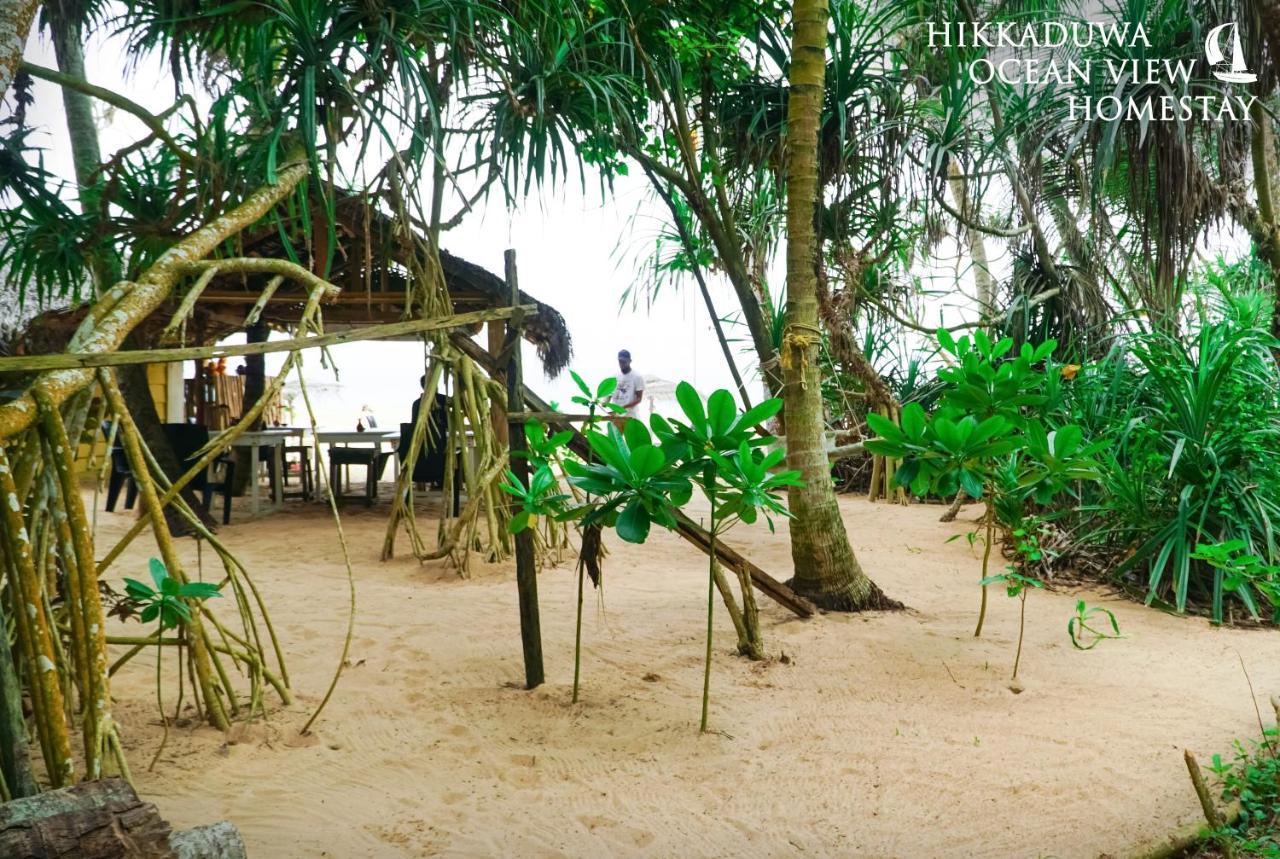 Hikkaduwa Ocean View Homestay Zewnętrze zdjęcie