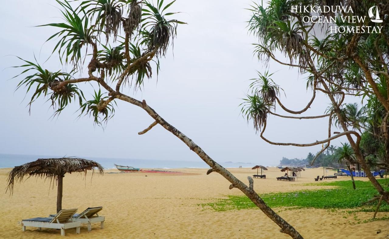 Hikkaduwa Ocean View Homestay Zewnętrze zdjęcie